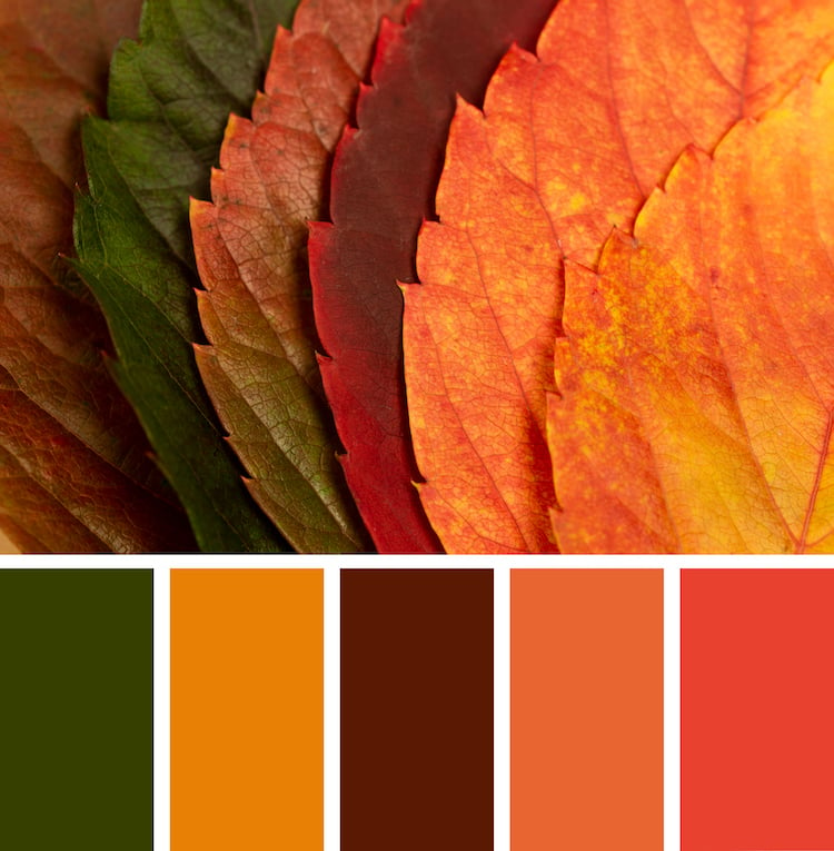 A photograph showcases leaves with various colors and shades, accompanied by color samples of the leaves at the bottom.