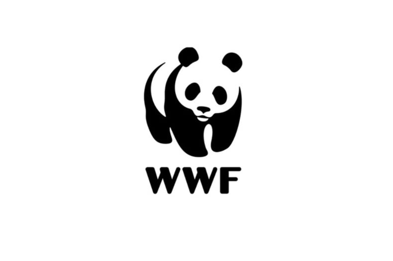 WWF logo design