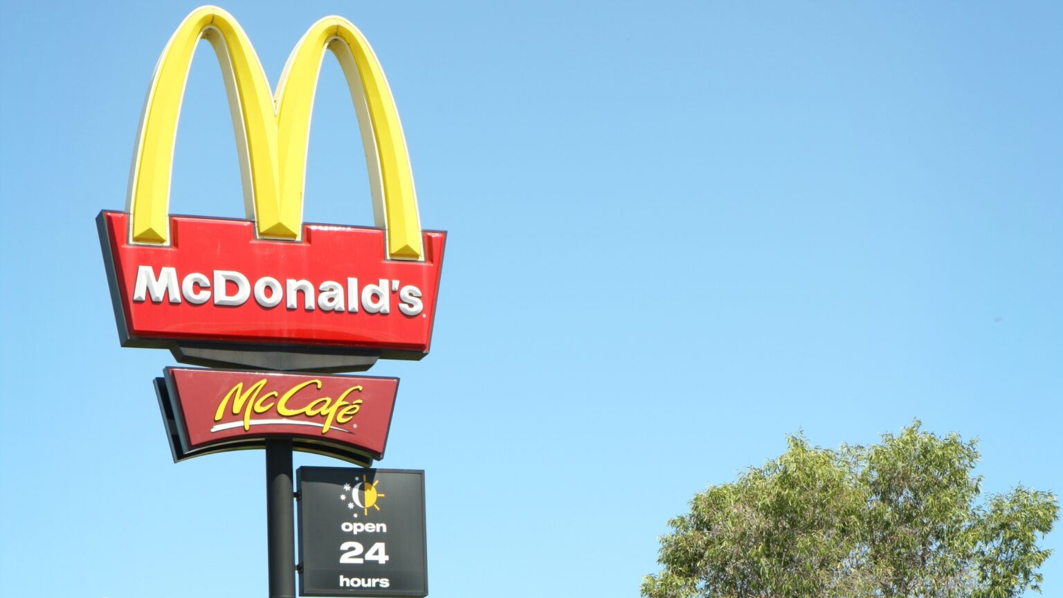 The Psychology of Color in Driving Conversions: A Guide for Marketers