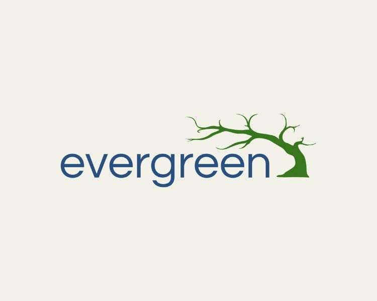 The official logo designs an evergreen brand with a tree on its side.