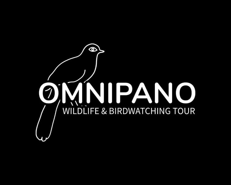 A logo design of a wildlife and birdwatching tour company Omnipano made by AI logo generator website logomakerr.ai