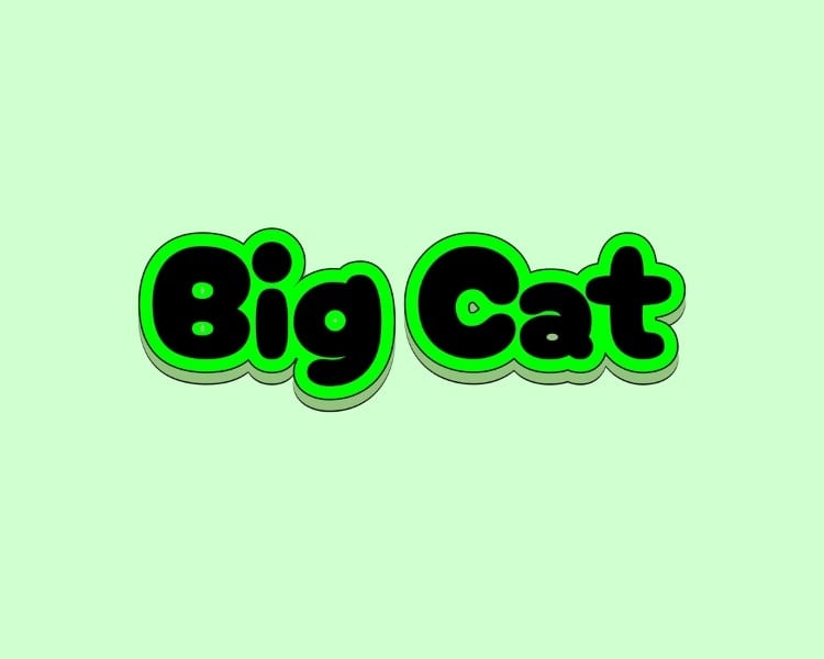A logo design of a Tiktok brand identity profile The Big Cat using a distinct 3d effect.