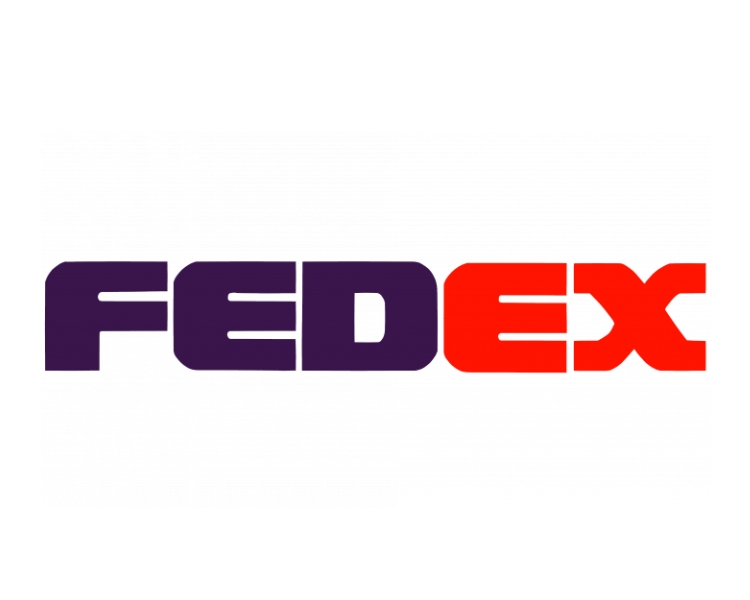 screenshot of the FedEx 1991 to 1994 logo design without any border unlike the first version