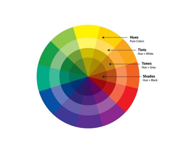 A color wheel palette highlighting the hues, tints, tones, and shades.