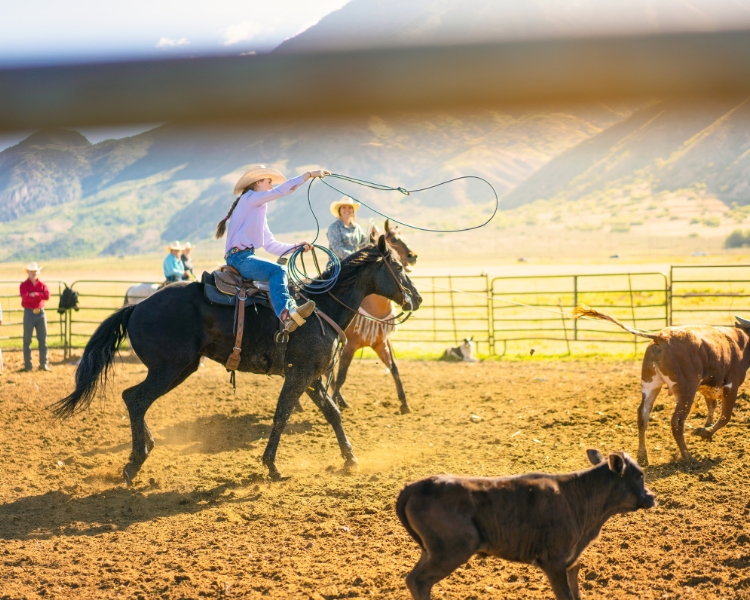 A woman wearing a cowboy hat is holding a rope while riding a black horse.