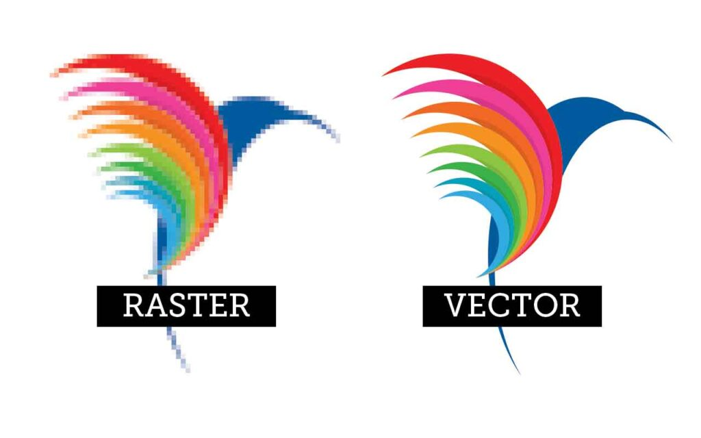 graphic design terms in accordance with vector and raster. Colorful bird in a sample