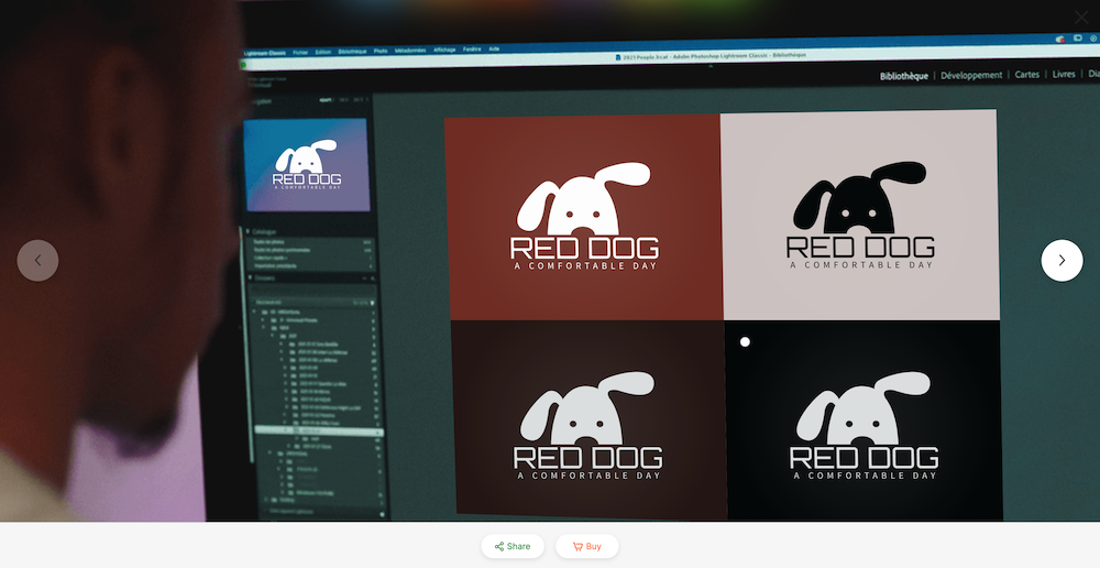 person in computer looking at a mockup logo of Red Dog
