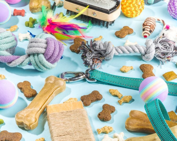 different pet toys in blue background