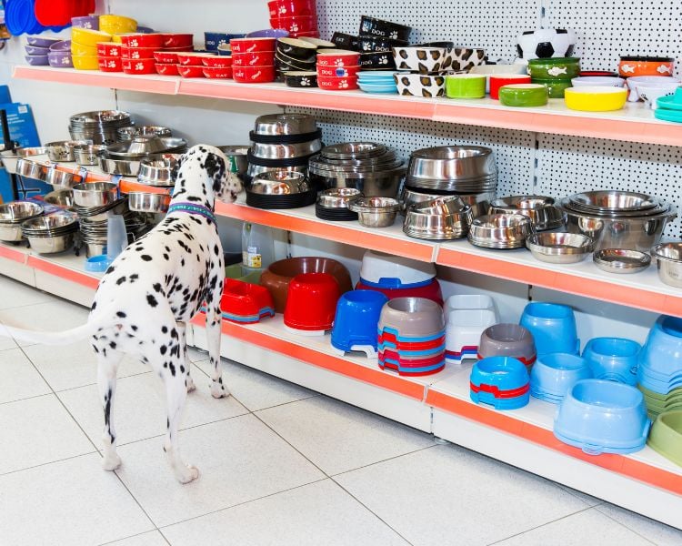 different dog bowls in shelves