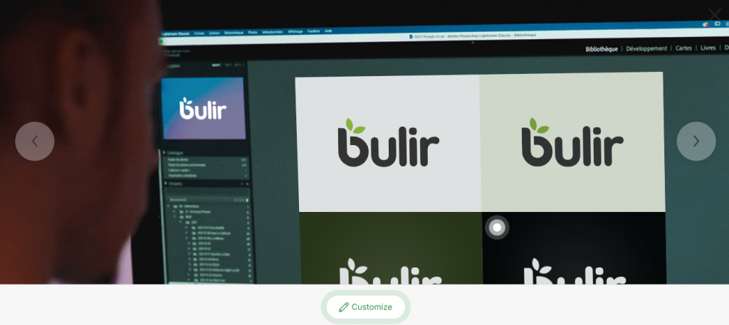 Bulir logo in a computer