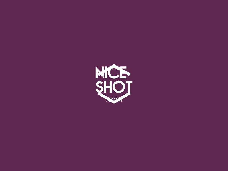 Nice Shot Letters Nice Shot logo generated by AI logo maker - Logomakerr.ai