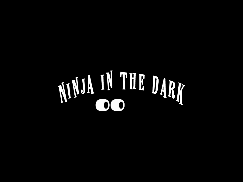 Ninja in the dark - 