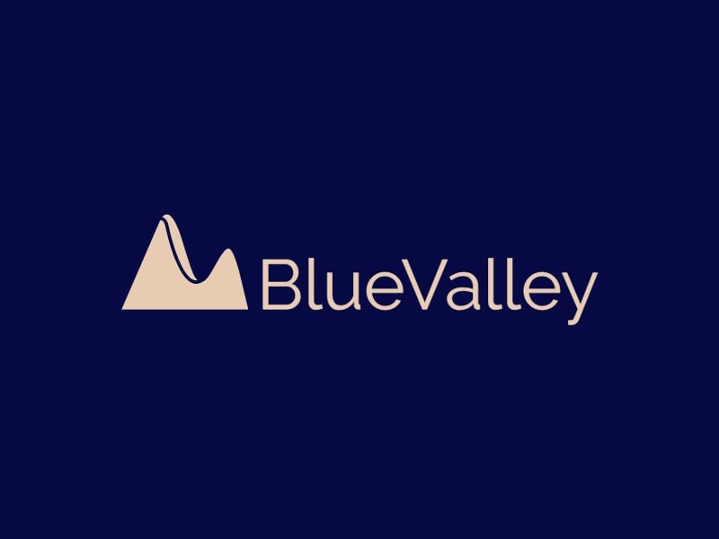 BlueValley logo design