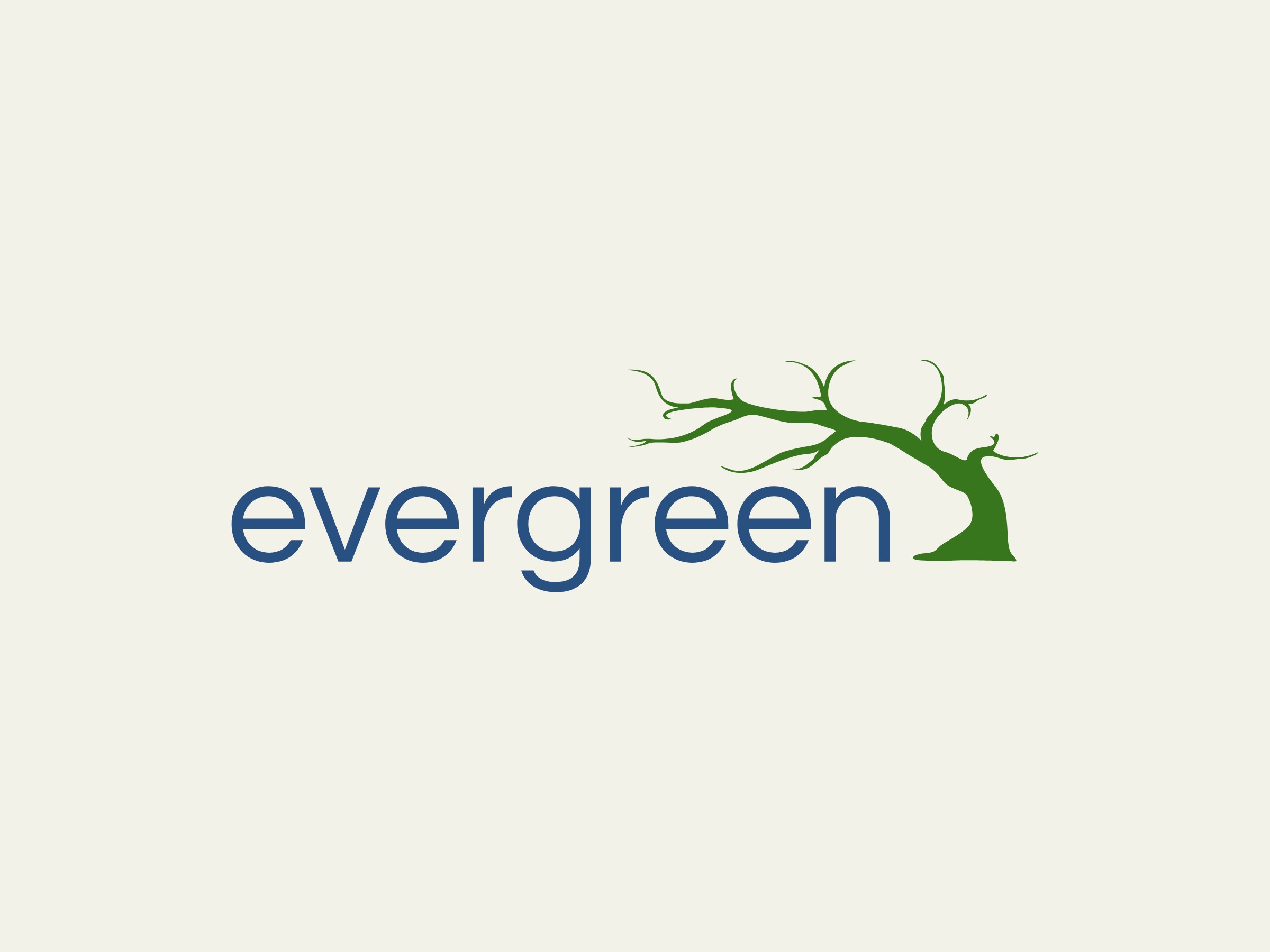 evergreen - 