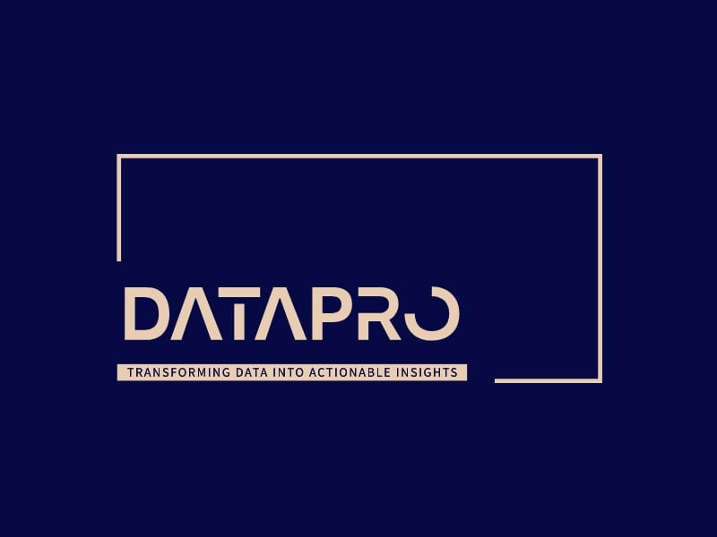 DataPro logo design