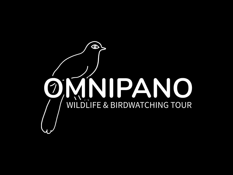 OMNIPANO - Wildlife & Birdwatching Tour