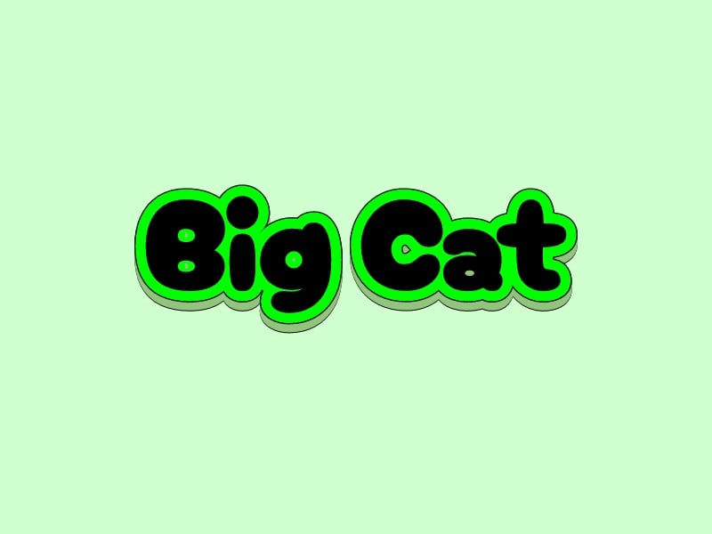 Big Cat logo design