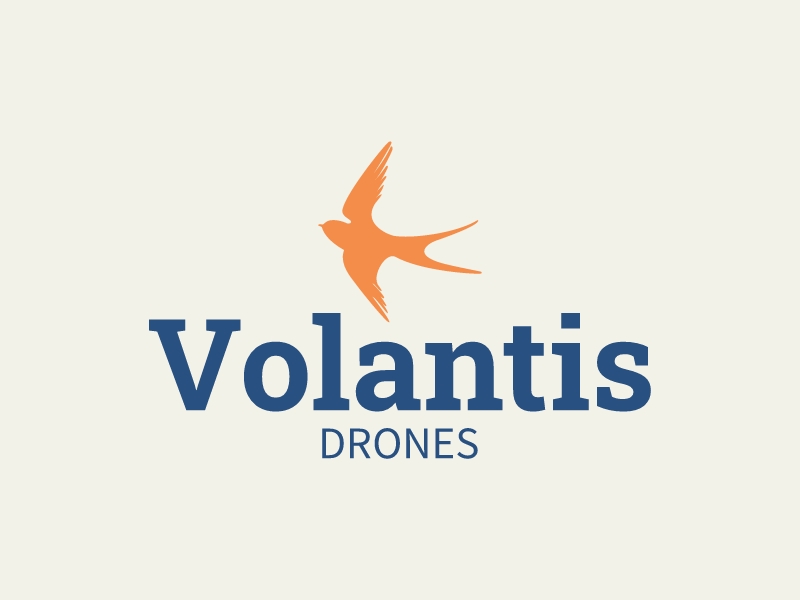 Volantis logo design