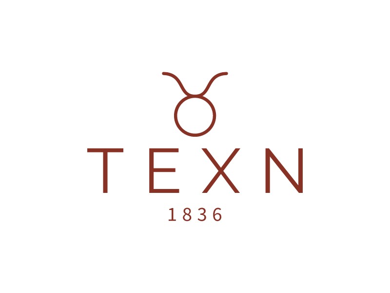 TEXN logo design