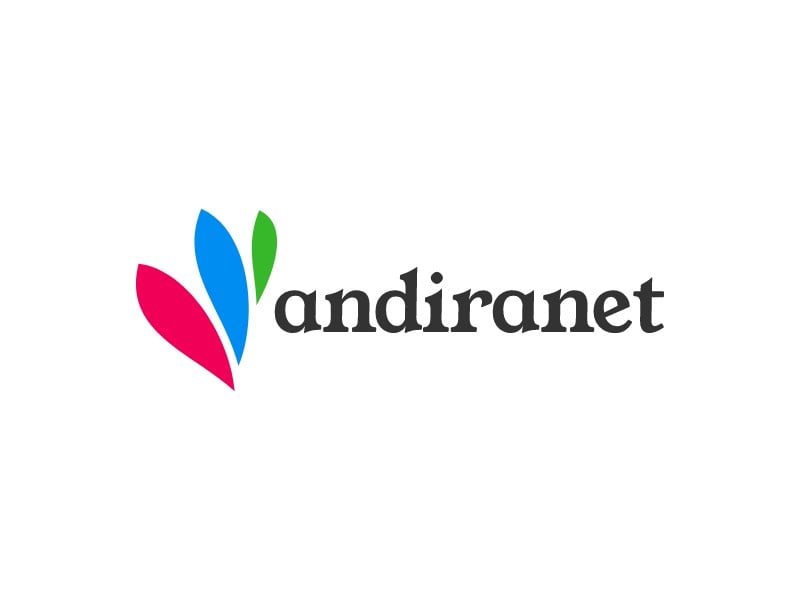 andiranet logo design